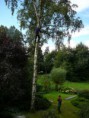 /album/bomen-snoeien/p1010290-jpg/